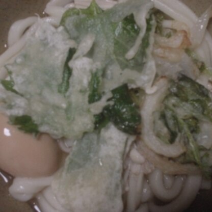 そしてさっきの青じそ天ぷらとりんごちゃんレピの味玉子も入れて味噌うどん♡このあっちぃ時に扇風機かけながらフゥフゥ食べたよ（笑）旨ごち様ね♪簡易でお願いニャ～♡